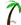 Palmera