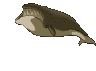 ballena animada