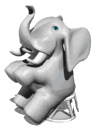 elefante circo