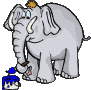 gif de elefante
