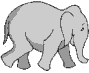 elefante