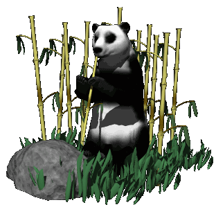oso panda