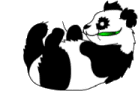 gif de oso panda