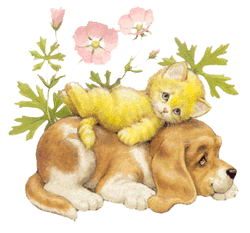 animacion de perro y gato