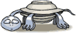 tortuga animada
