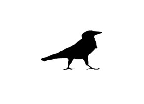 Cuervos