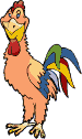 gallina