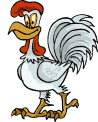 gallina