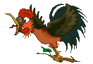 gallina