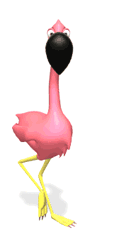 dibujo animado flamenco