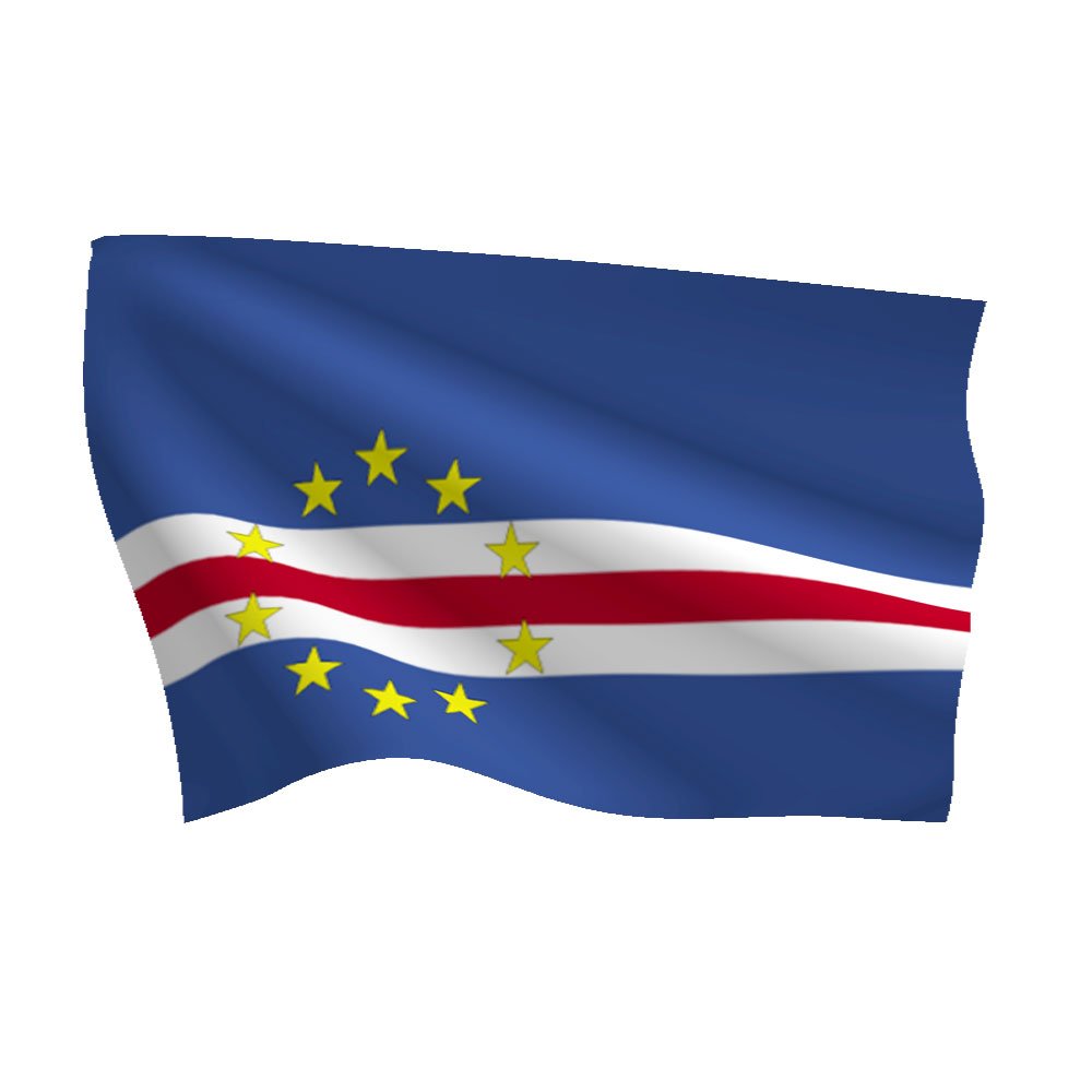 bandera animada