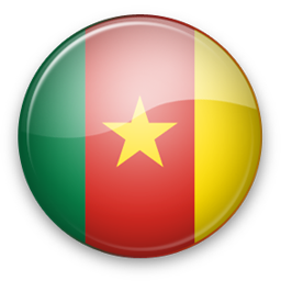 Bandera de Camerún