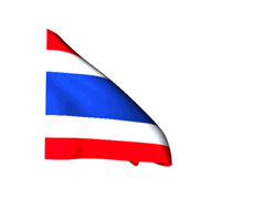 bandera animada