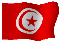 bandera Tunez