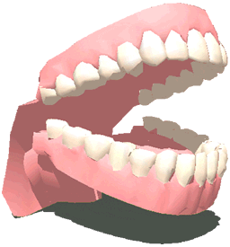 Gif de dentadura