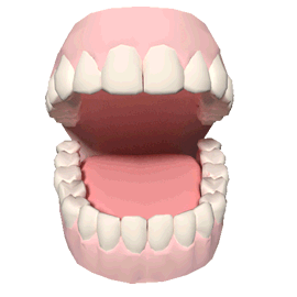 Gif de dentadura