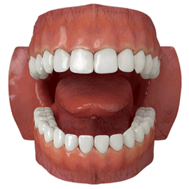 Gif de dentadura