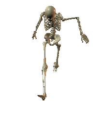 Gif de esqueleto