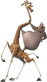 Gif de madagascar