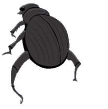 Gif escarabajo