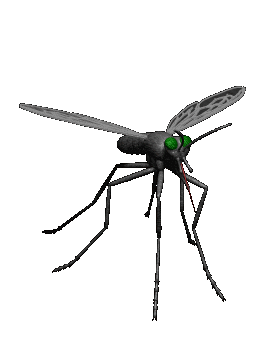Gif de mosquito